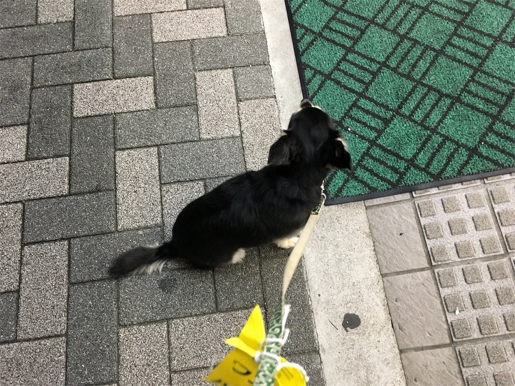 f:id:akie1000:20170811001248j:image