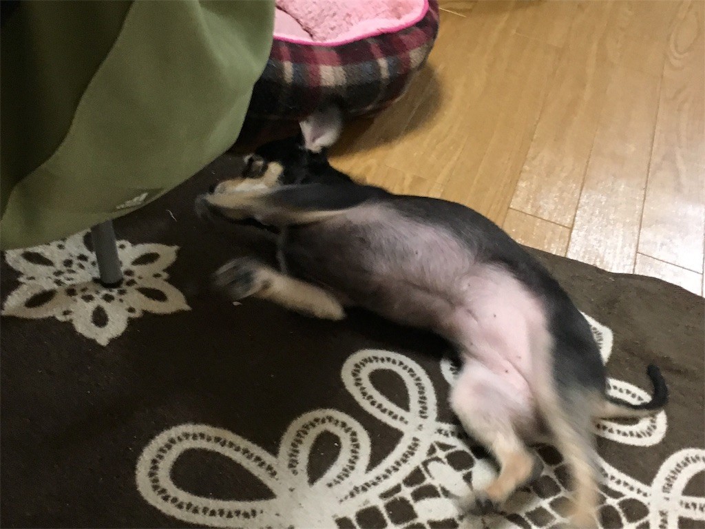 f:id:akie1000:20170923030900j:image