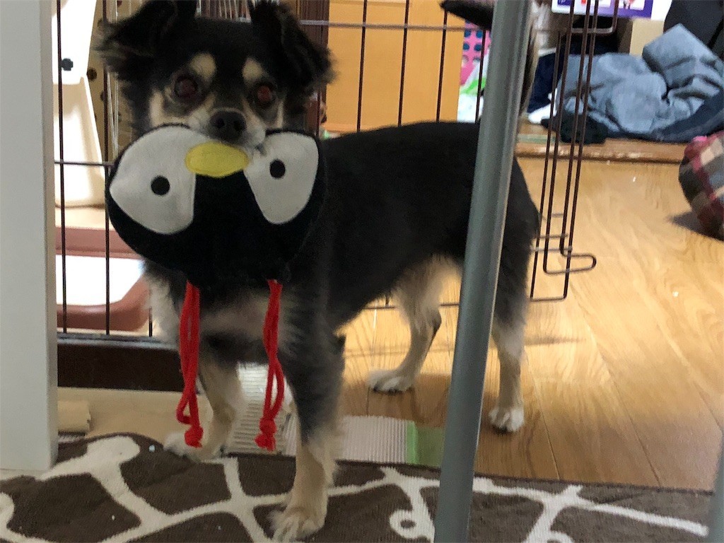 f:id:akie1000:20171110003235j:image