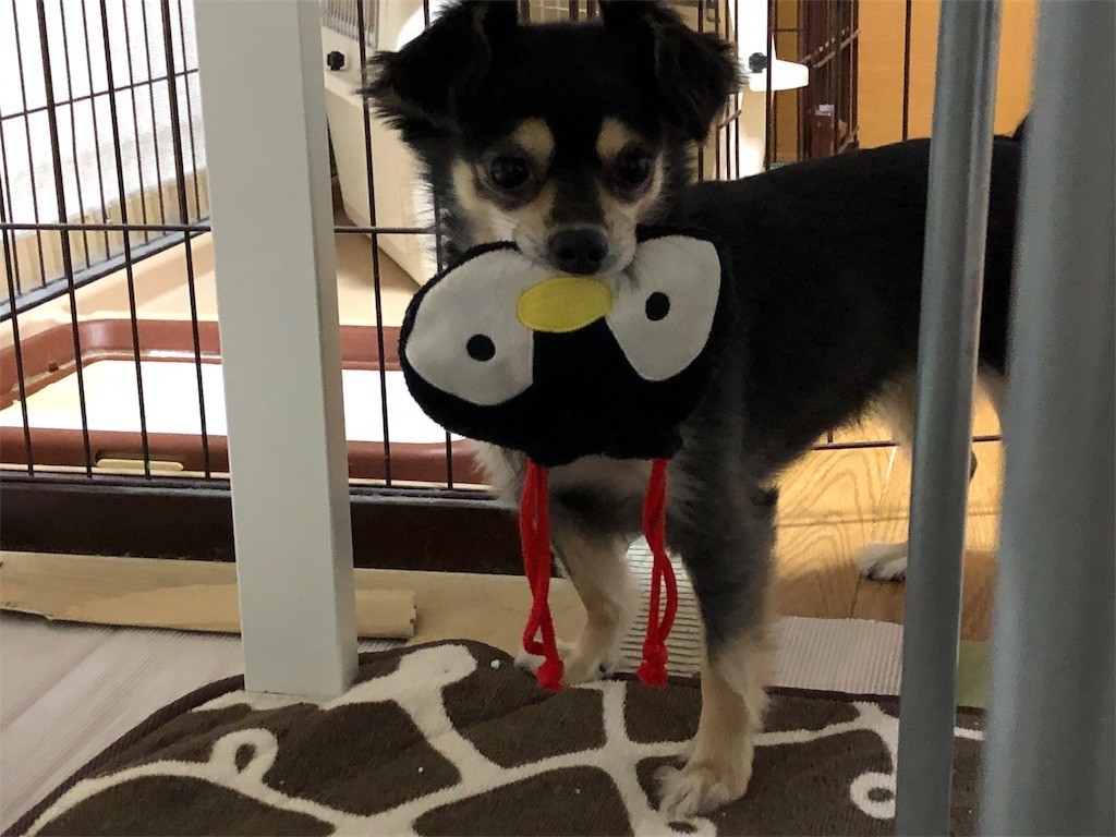 f:id:akie1000:20171110003241j:image