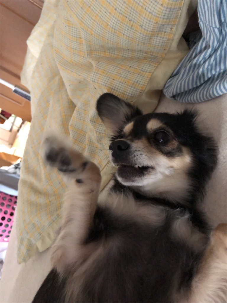 f:id:akie1000:20171115132317j:image