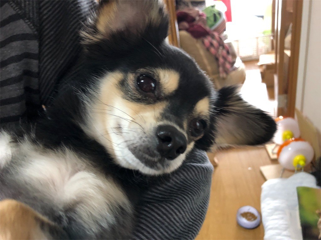 f:id:akie1000:20171115132358j:image