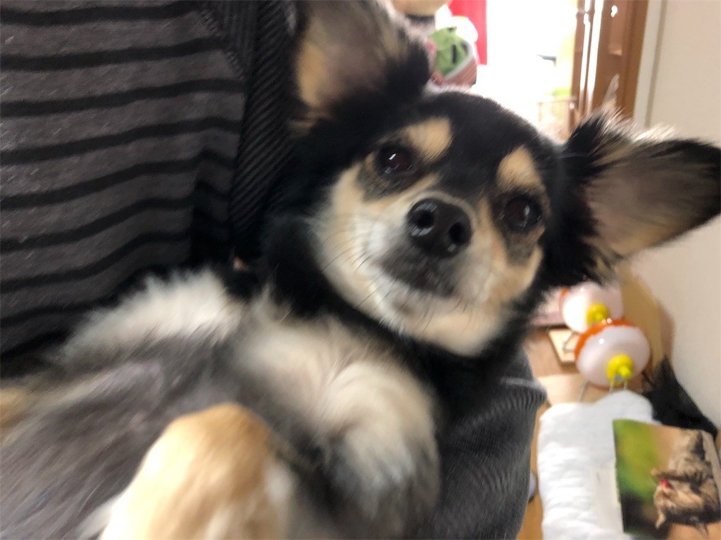 f:id:akie1000:20171115132413j:image