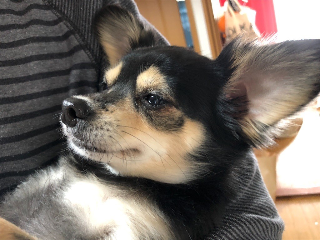 f:id:akie1000:20171115132435j:image