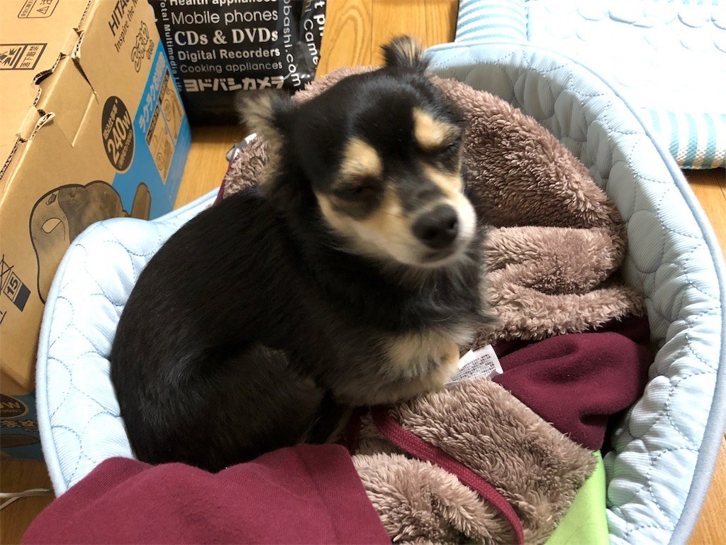 f:id:akie1000:20171115132459j:image