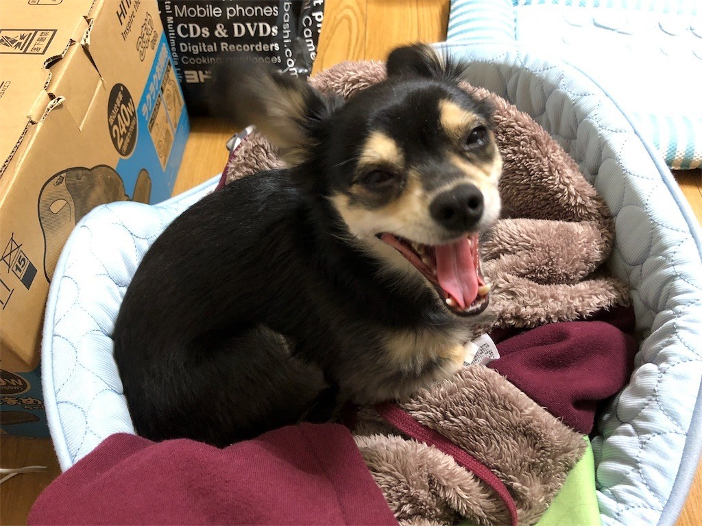 f:id:akie1000:20171115132522j:image