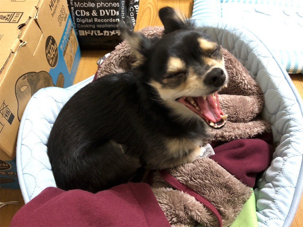 f:id:akie1000:20171115132535j:image