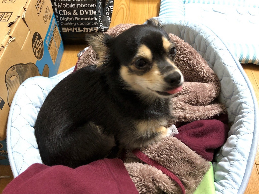 f:id:akie1000:20171115132553j:image