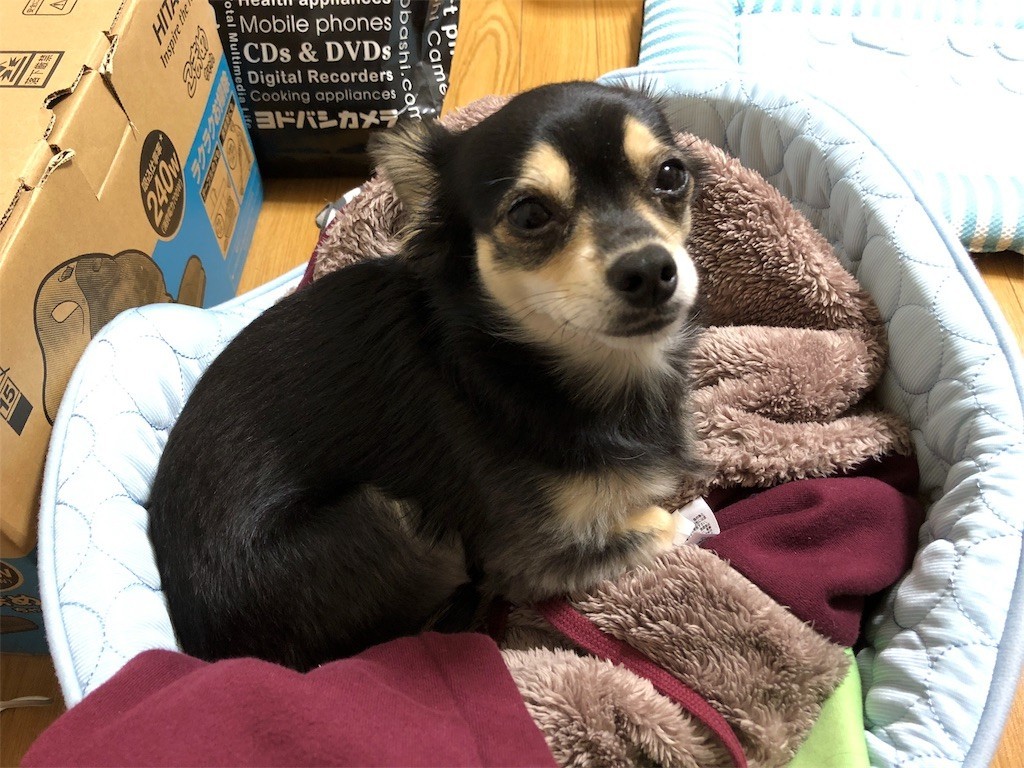 f:id:akie1000:20171115132606j:image