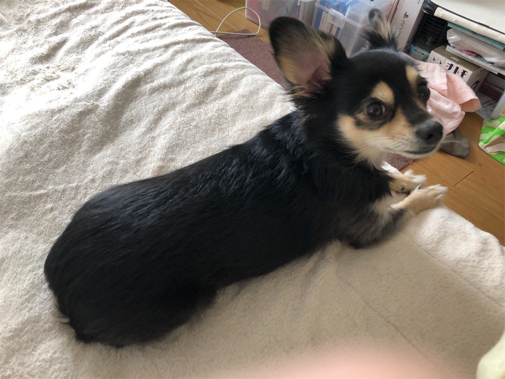 f:id:akie1000:20171123232213j:image