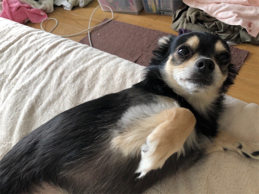 f:id:akie1000:20171123232220j:image