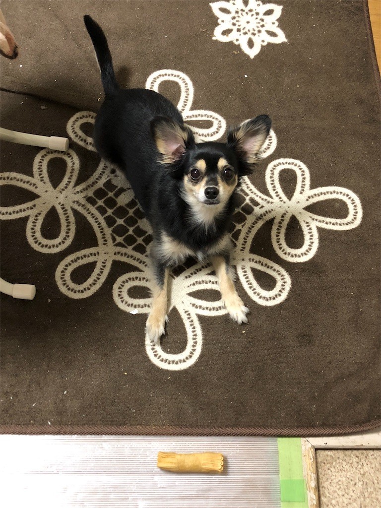 f:id:akie1000:20171123232242j:image