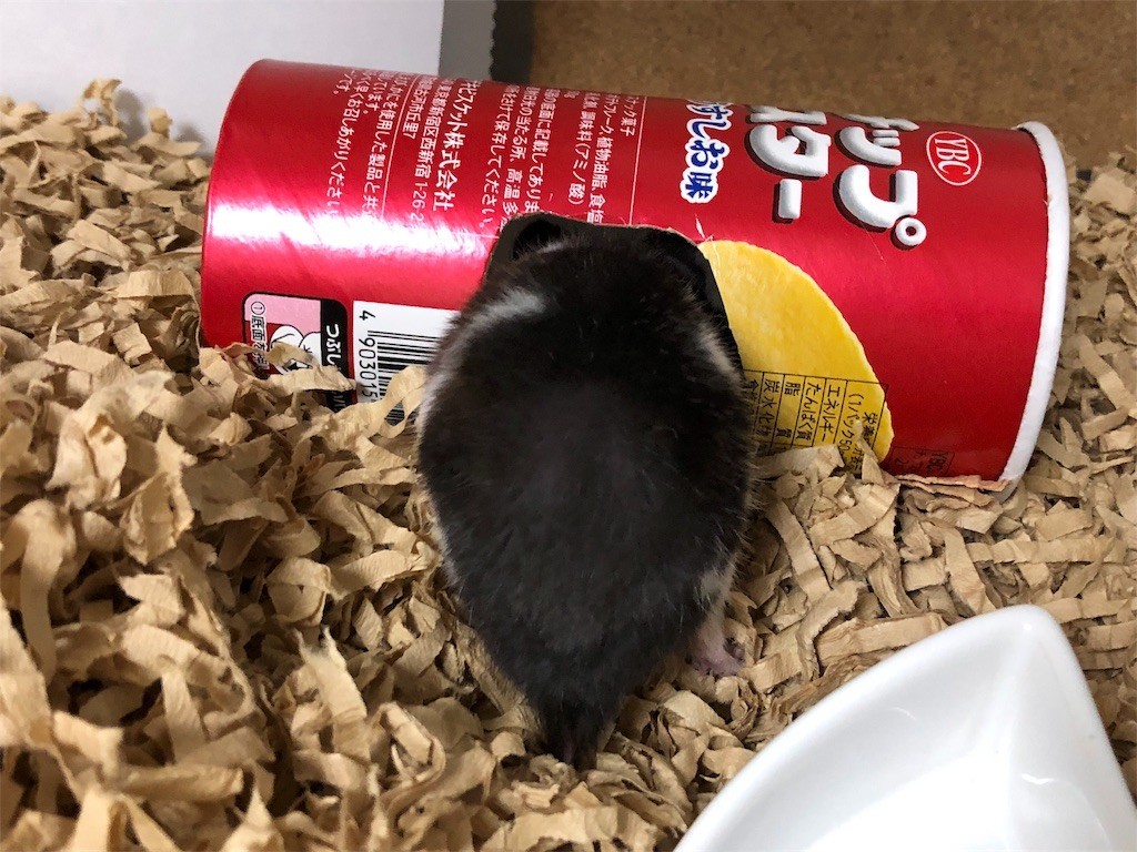 f:id:akie1000:20171123232401j:image