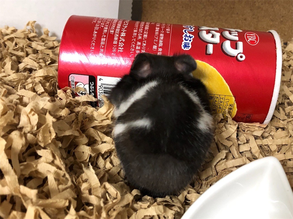 f:id:akie1000:20171123232409j:image