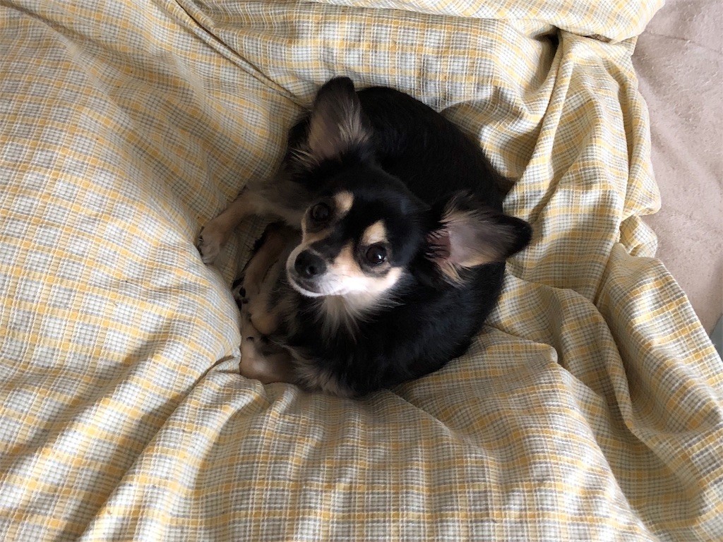 f:id:akie1000:20171123232629j:image