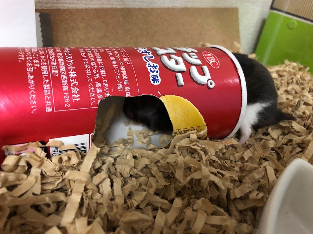 f:id:akie1000:20171123232737j:image