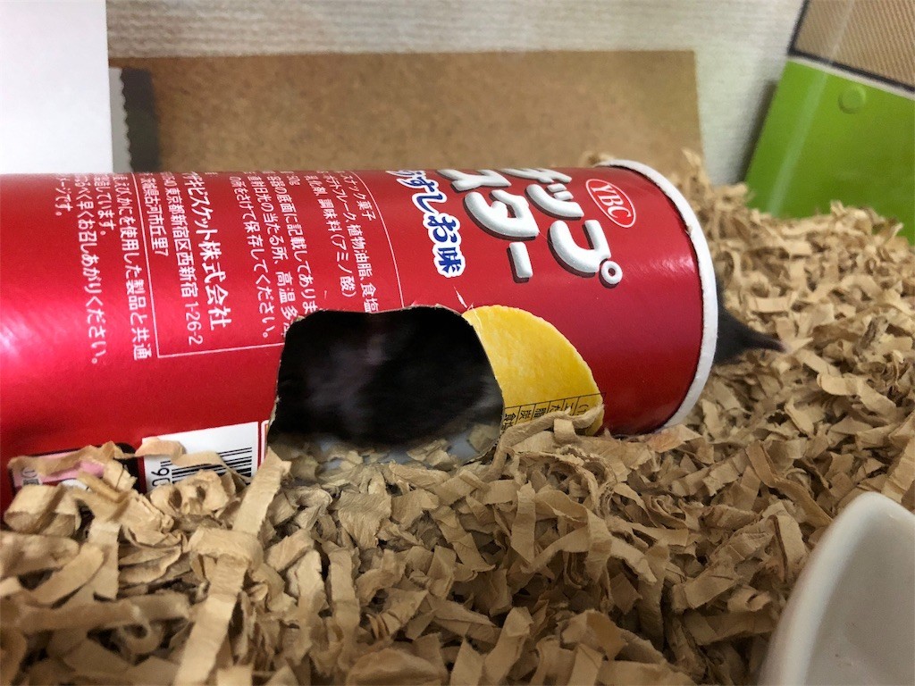 f:id:akie1000:20171123232746j:image