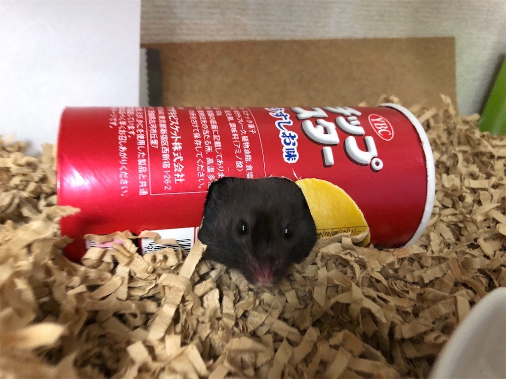 f:id:akie1000:20171123232801j:image