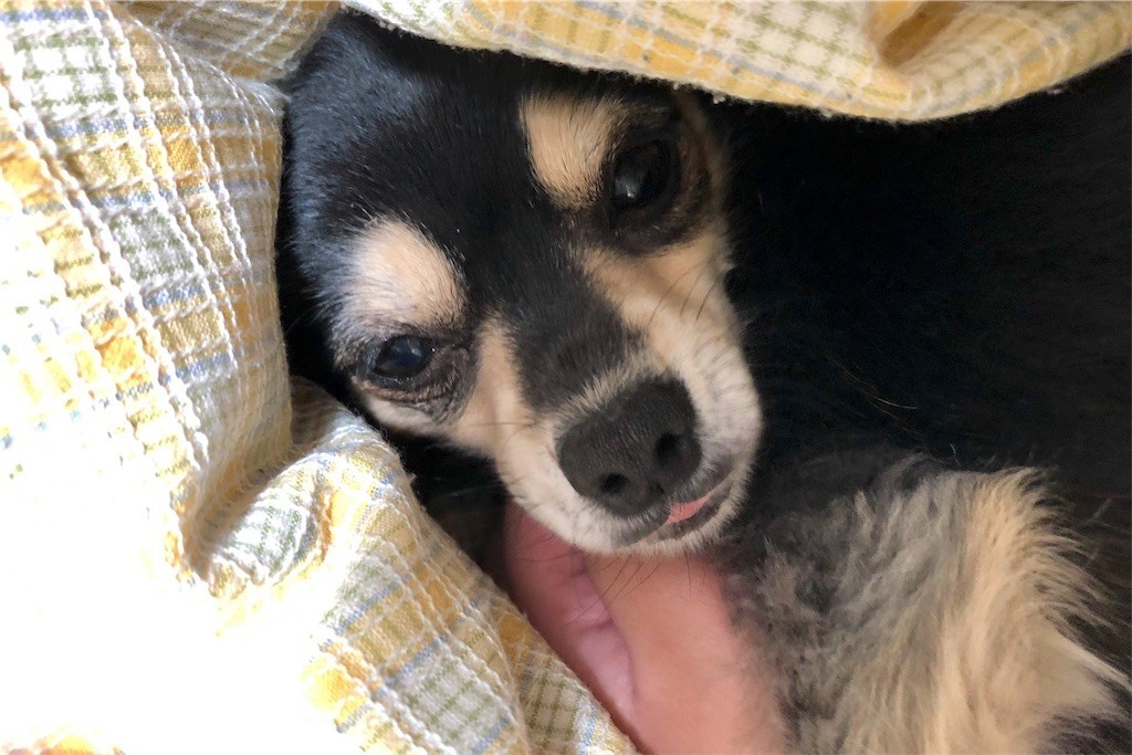 f:id:akie1000:20171123233023j:image