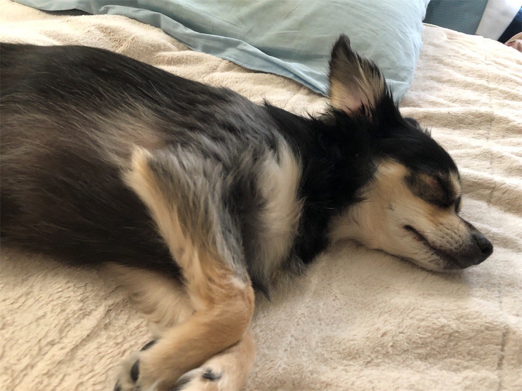 f:id:akie1000:20171123233053j:image