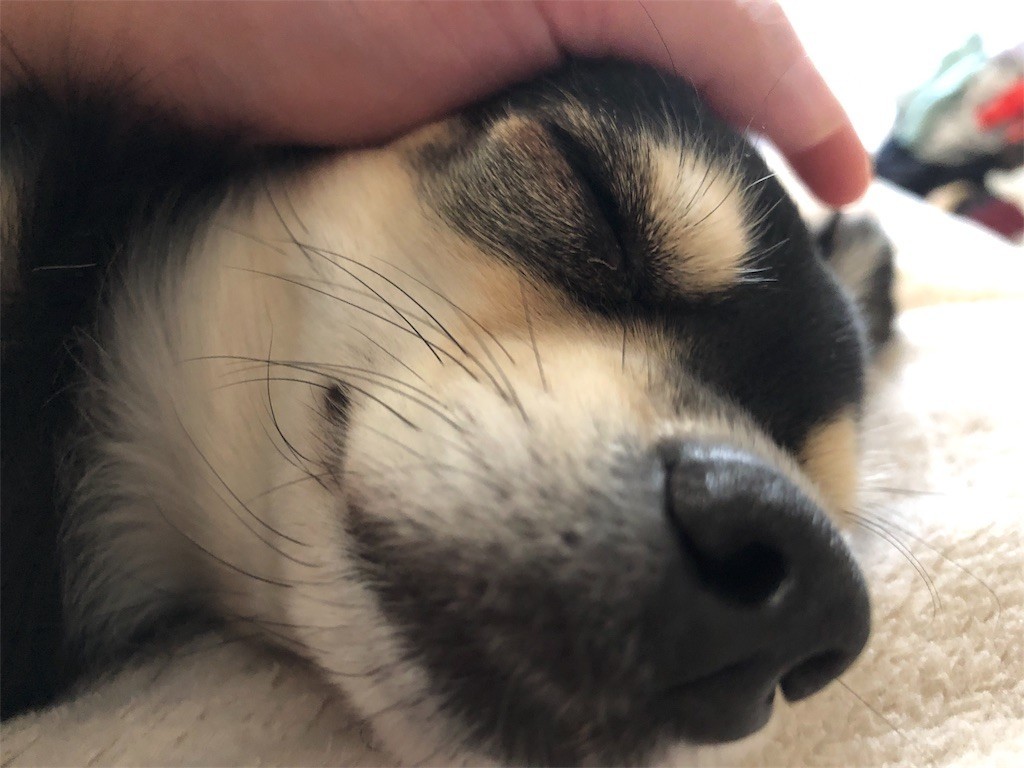 f:id:akie1000:20171123233102j:image