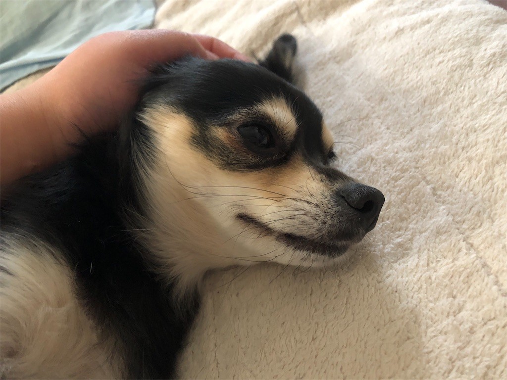 f:id:akie1000:20171123233112j:image