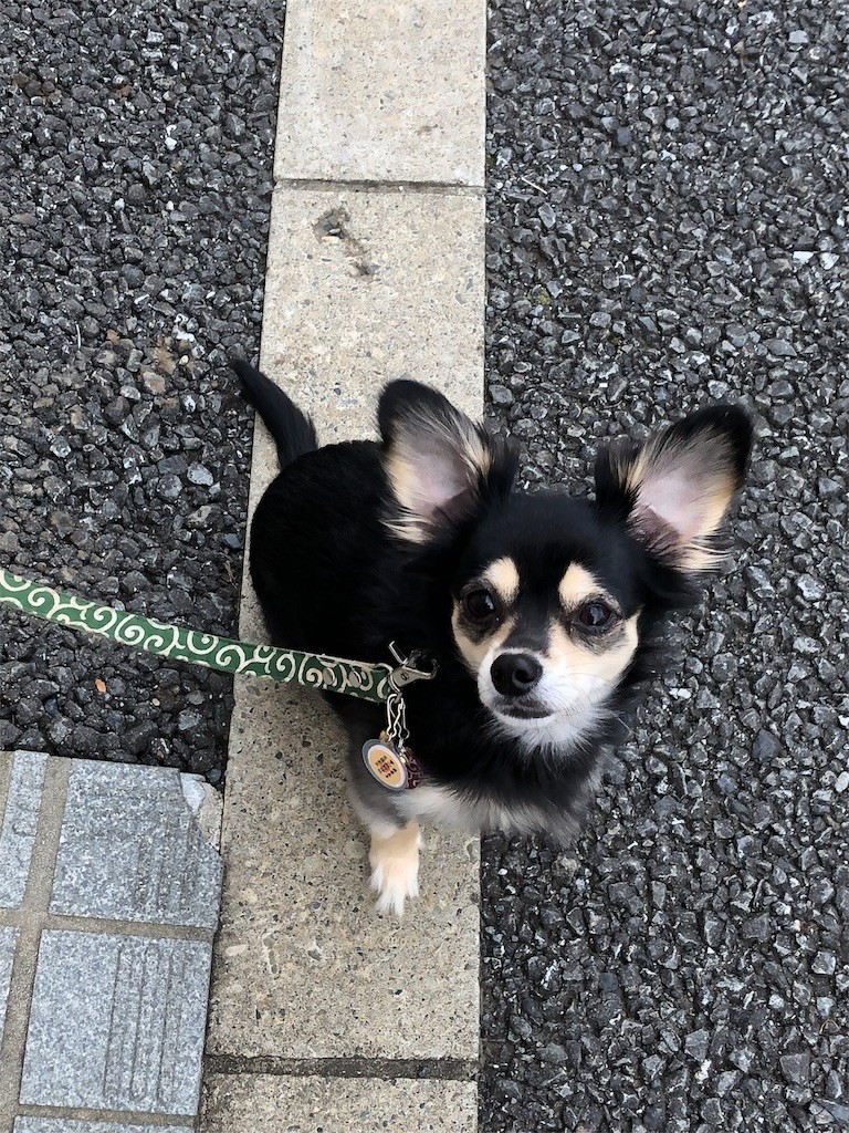 f:id:akie1000:20171123233537j:image