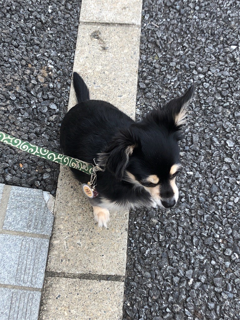 f:id:akie1000:20171123233549j:image