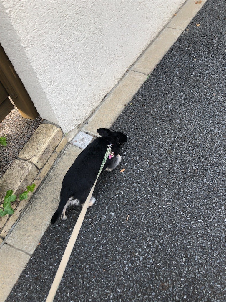 f:id:akie1000:20171123233600j:image