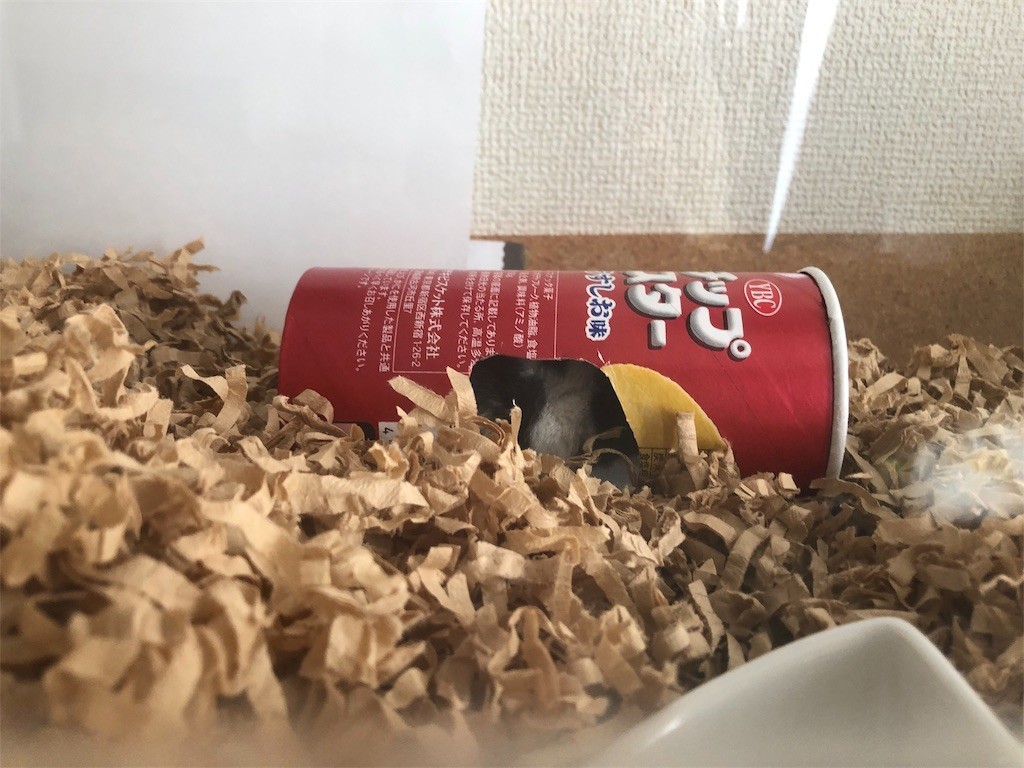 f:id:akie1000:20171123233742j:image