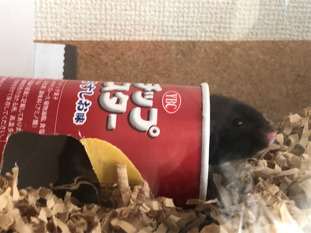 f:id:akie1000:20171123233807j:image