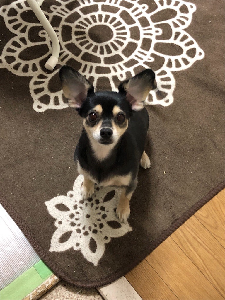 f:id:akie1000:20180103164034j:image