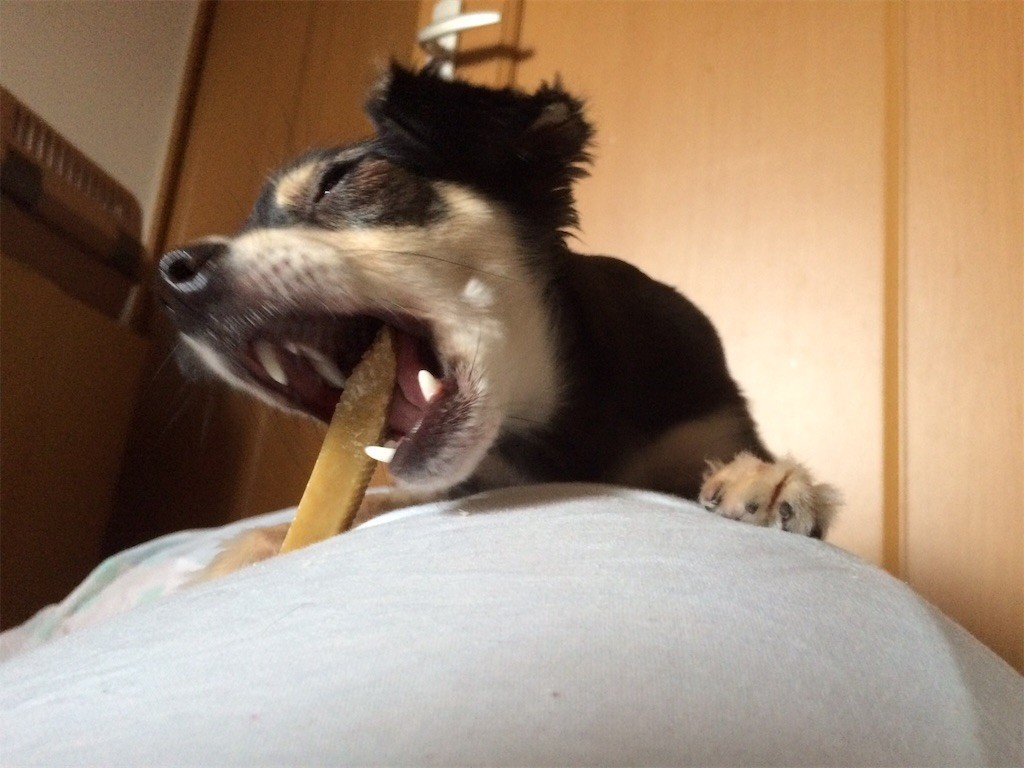 f:id:akie1000:20180130014653j:image