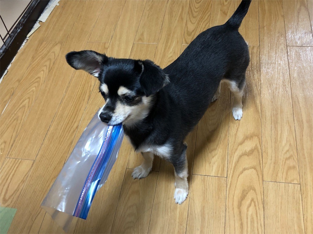 f:id:akie1000:20180201225849j:image