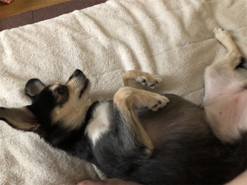 f:id:akie1000:20180203005017j:image