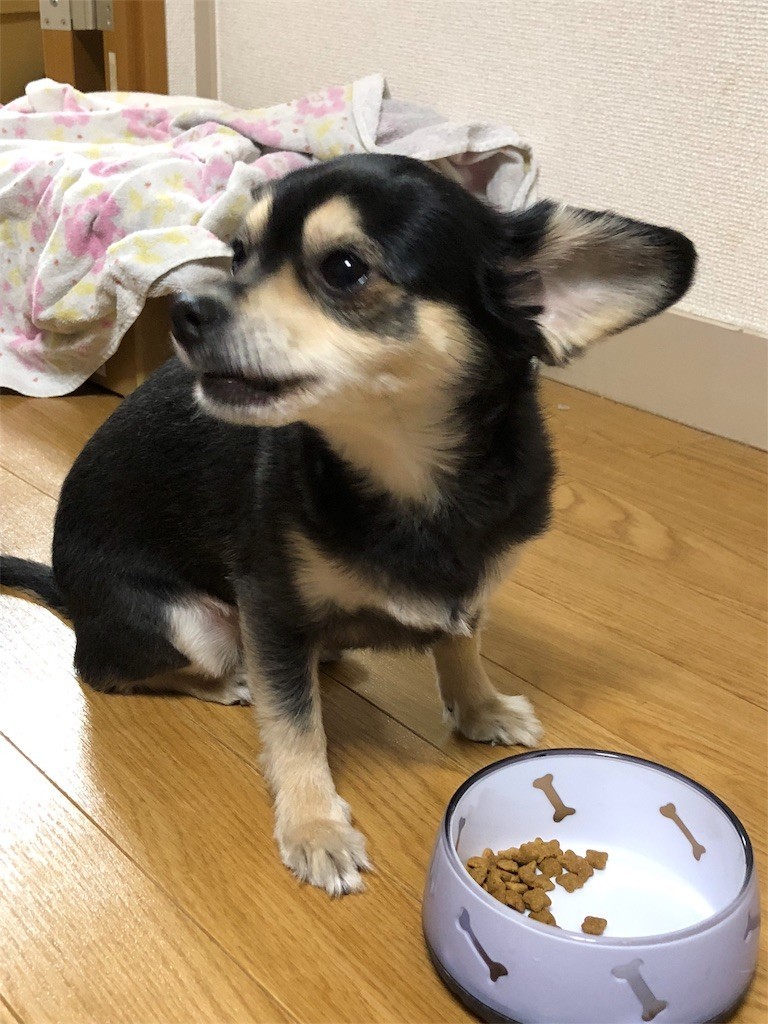 f:id:akie1000:20180208234041j:image