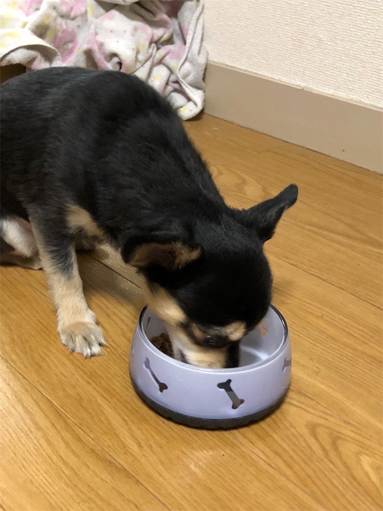f:id:akie1000:20180208234052j:image