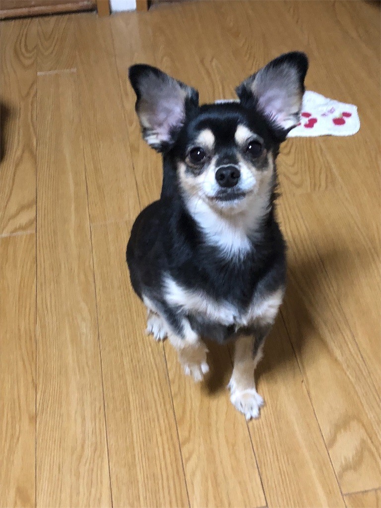 f:id:akie1000:20180213230043j:image