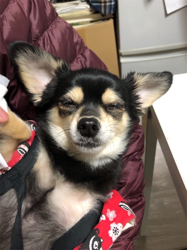 f:id:akie1000:20180221223722j:image