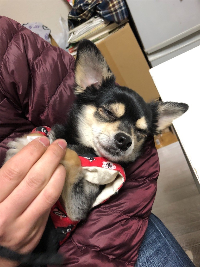 f:id:akie1000:20180221224215j:image