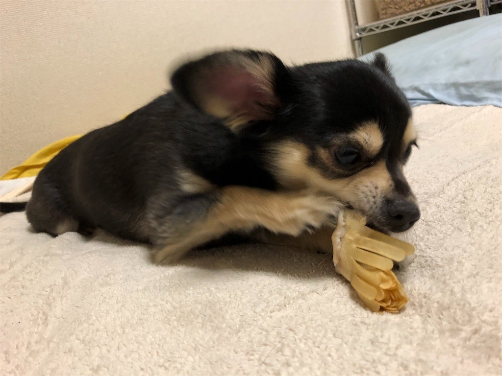 f:id:akie1000:20180221224405j:image