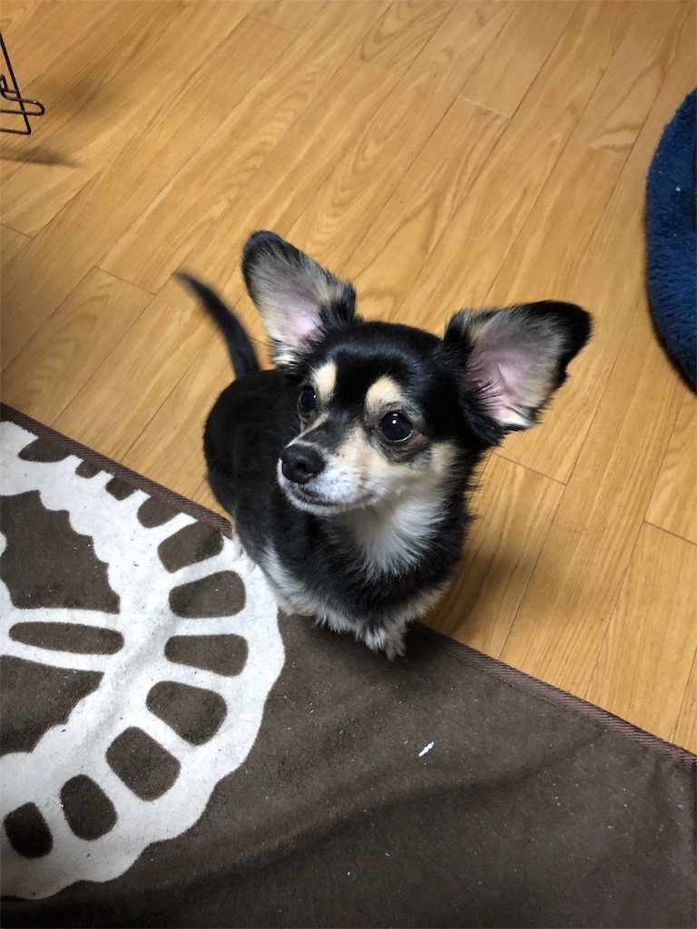 f:id:akie1000:20180227232913j:image