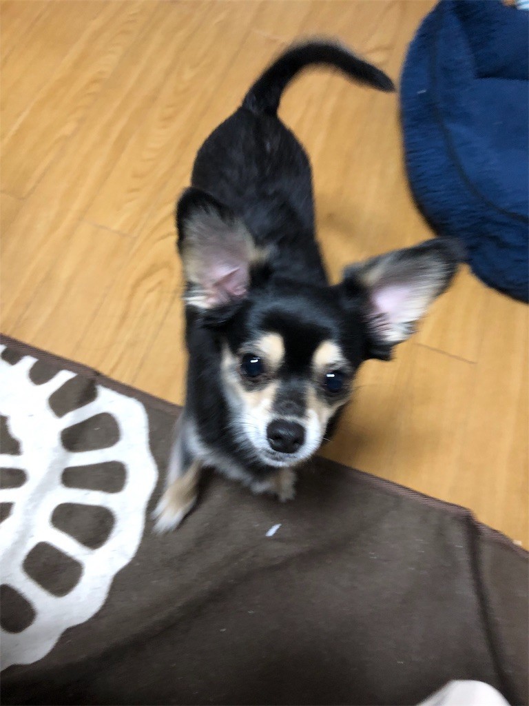 f:id:akie1000:20180227232929j:image