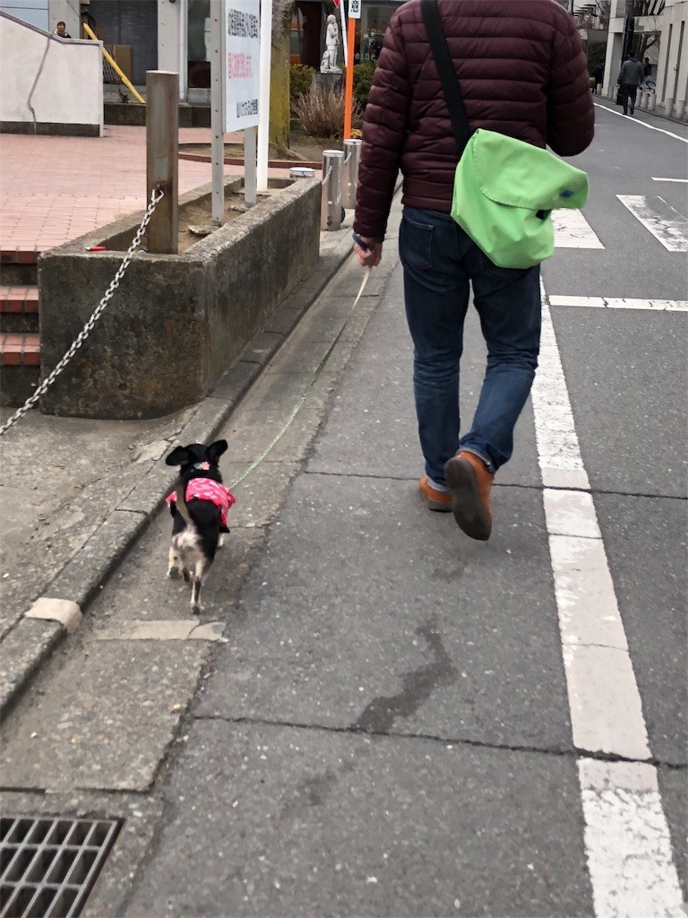f:id:akie1000:20180227233029j:image