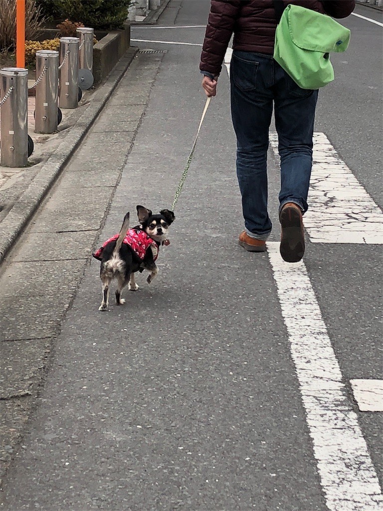 f:id:akie1000:20180227233042j:image