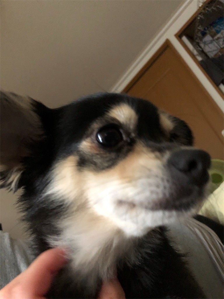 f:id:akie1000:20180227233422j:image
