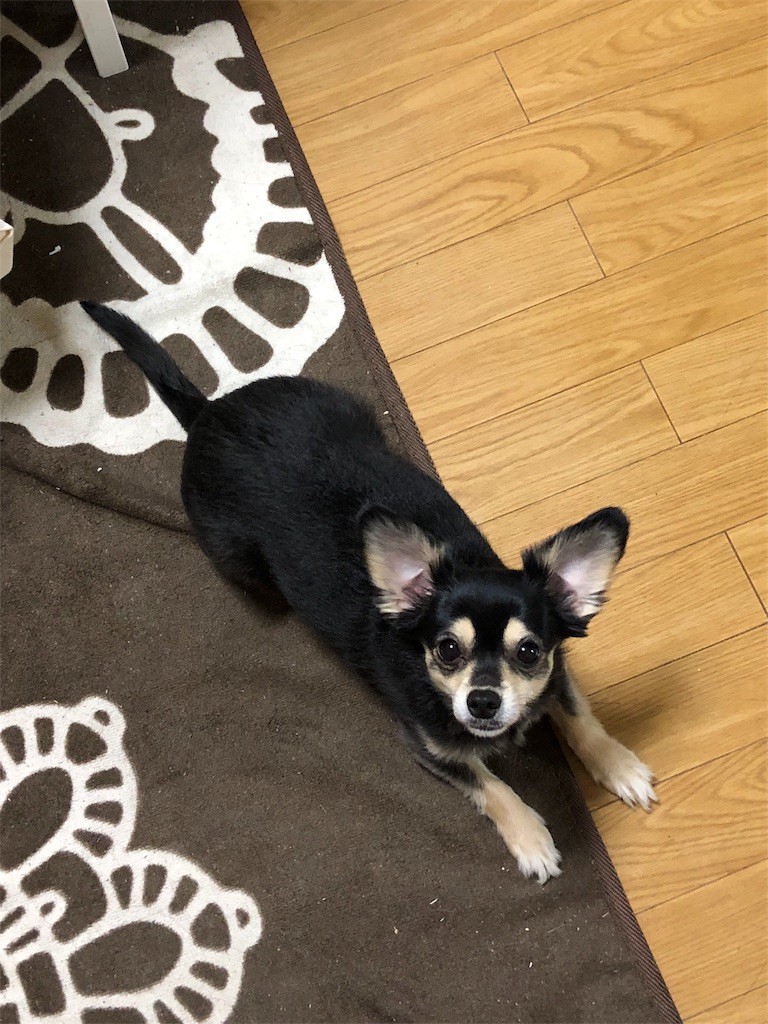 f:id:akie1000:20180228070349j:image