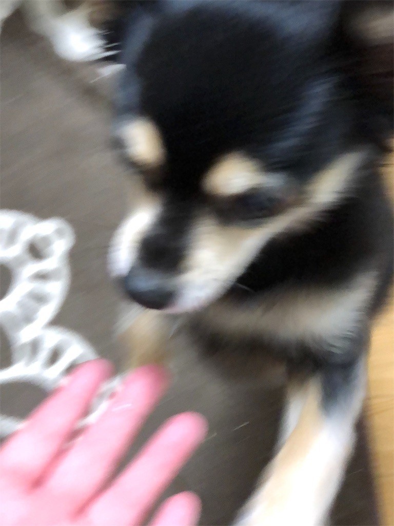 f:id:akie1000:20180228070407j:image