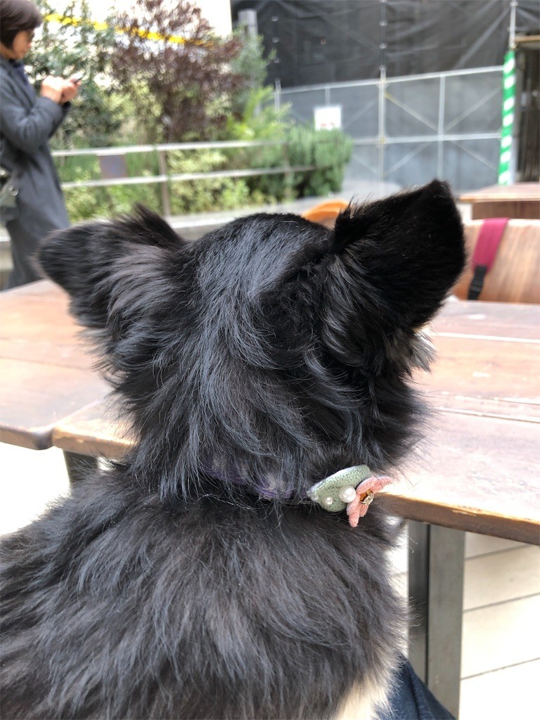 f:id:akie1000:20180324003946j:image