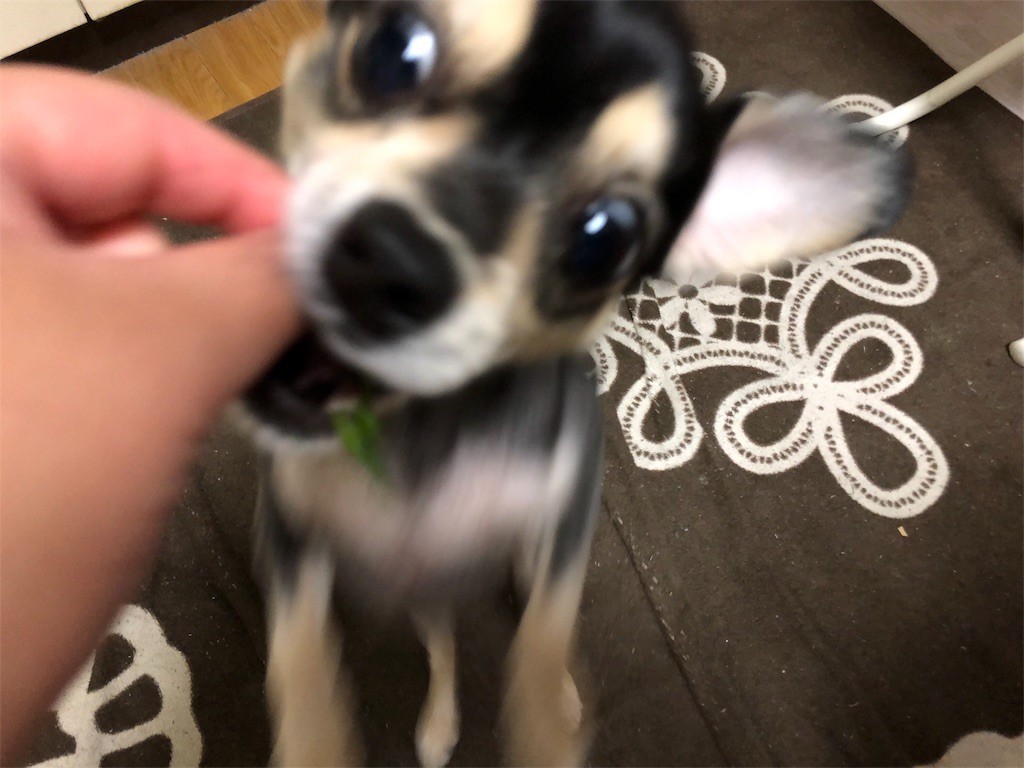 f:id:akie1000:20180410231400j:image